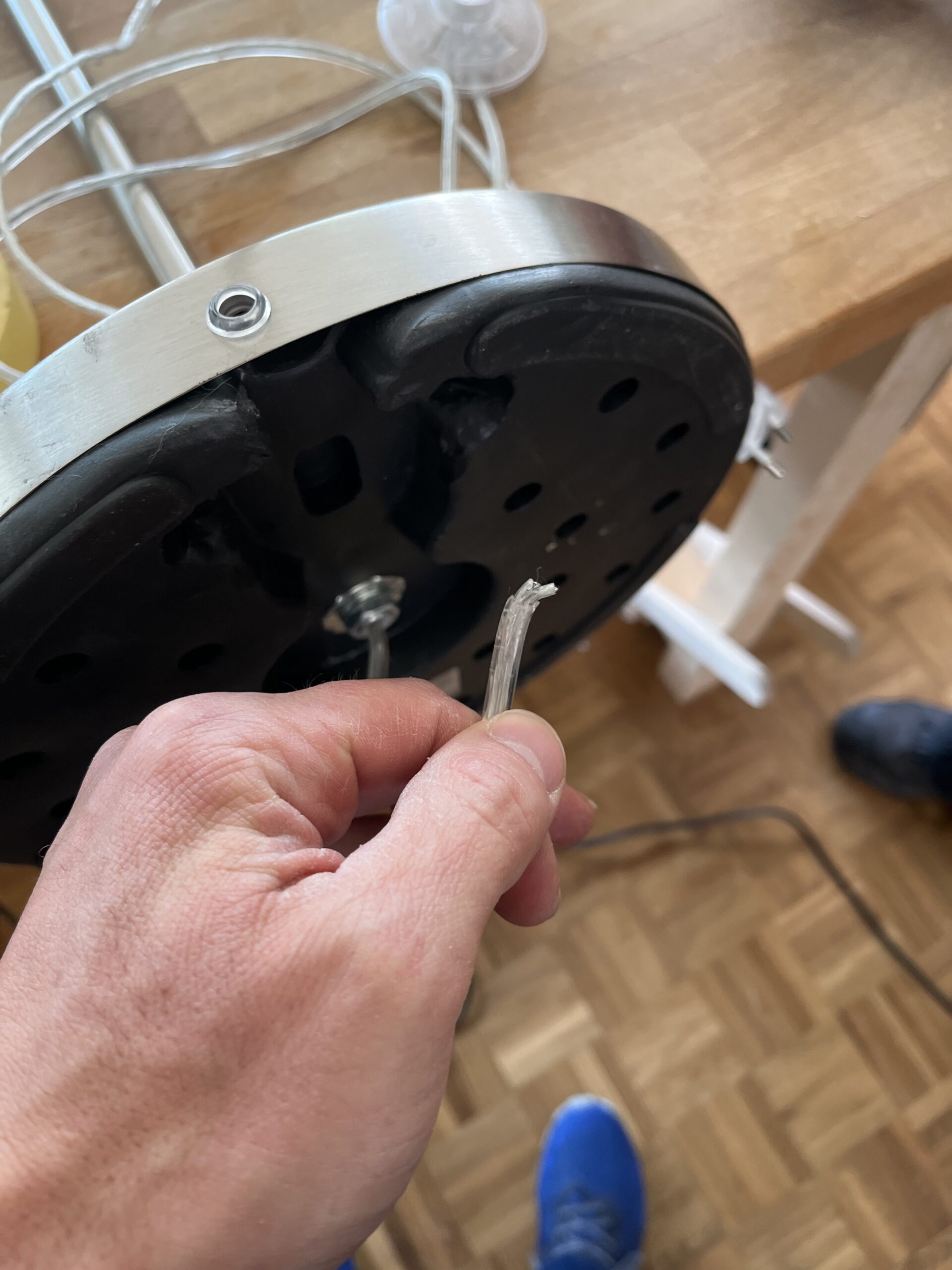 Katzen mögen Lampenkabel